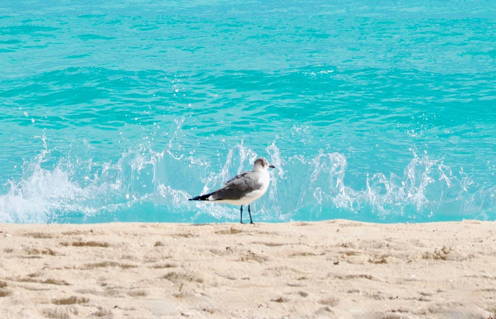 Solymar Condos On The Beach Cancún Extérieur photo
